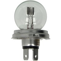 Glühlampe Sekundär PHILIPS R2 Vision 12V, 45/40W, 1 Stück von Philips