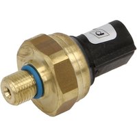 Kraftstoffdrucksensor PIERBURG 7.11225.24.0 Kraftstoffdrucksensor PIERBURG 7.11225.24.0 von Pierburg