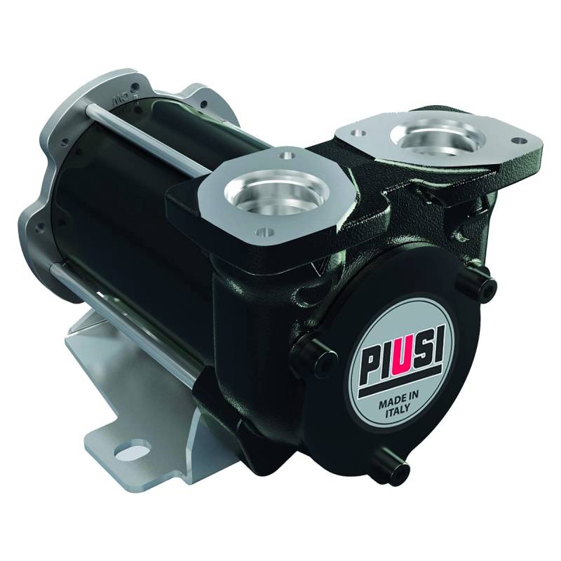 PIUSI Einfache Dieselumfüllpumpe Selbstansaugend mit 24V-Paletten, Durchflussmenge 50 Liter/Minute mit Flanschanschluss | BP3000 F00347000 von Piusi