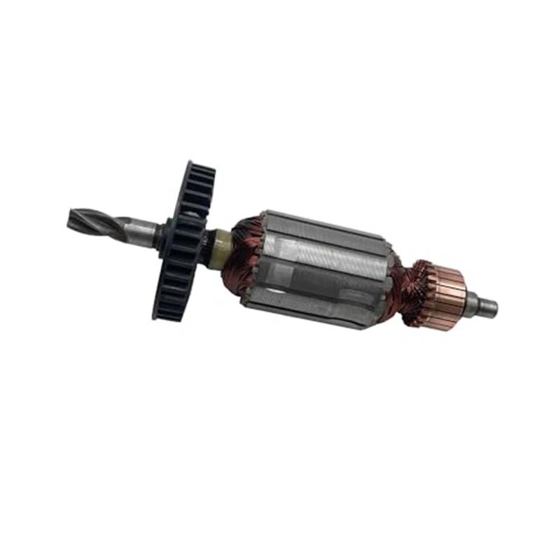 Pizgear AC220V-240V Anker Rotor Anker Stator Ersatz, for Bosch, Bohrhammer GBH2-20 Gartengeräte Anker Rotor Anker(Black Armature) von Pizgear