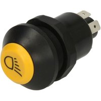 Schalter, Hauptlicht PNEUTRON 11130790XX von Pneutron
