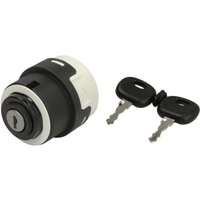 Zündschlosssatz, Schlüssel PNEUTRON 205 005 01 von Pneutron