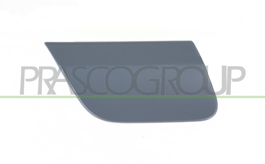 Abdeckung Zughaken hinten grundiert Abdeckung Zughaken hinten grundiert von Prasco