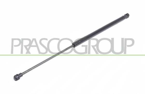 Gasfeder, Koffer-/Laderaum beidseitig Prasco ST4229055 Gasfeder, Koffer-/Laderaum beidseitig Prasco ST4229055 von Prasco