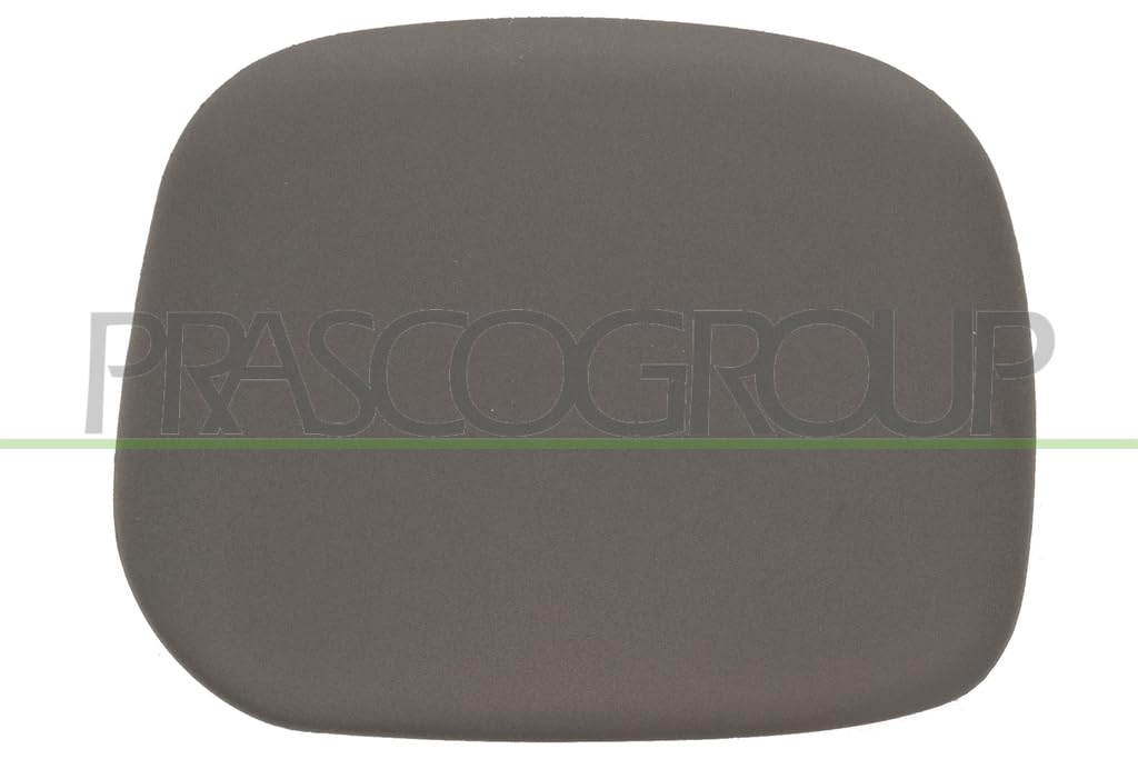 PRASCO Abdeckung für Außenspiegel, PG9047414 PRASCO Abdeckung für Außenspiegel, PG9047414 von Prasco