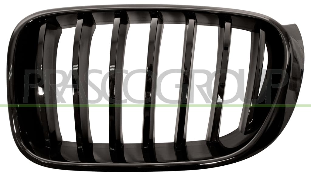 PRASCO BM8072004 Frontgrillspoiler PRASCO BM8072004 Frontgrillspoiler von Prasco