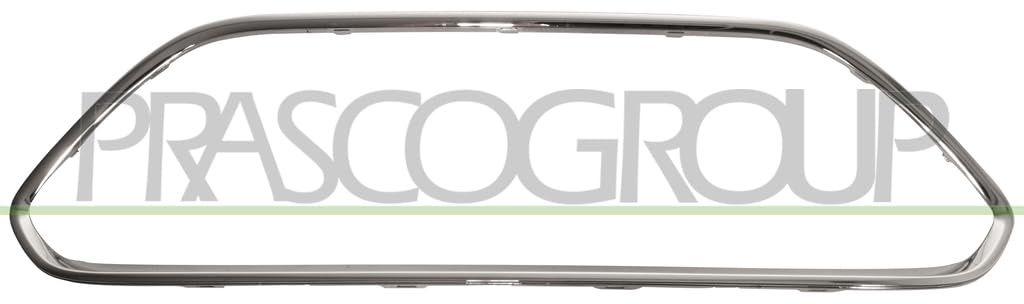 PRASCO FD4262305 Schutzleisten PRASCO FD4262305 Schutzleisten von Prasco