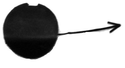 PRASCO LA0021236 Überrollkäfige PRASCO LA0021236 Überrollkäfige von Prasco