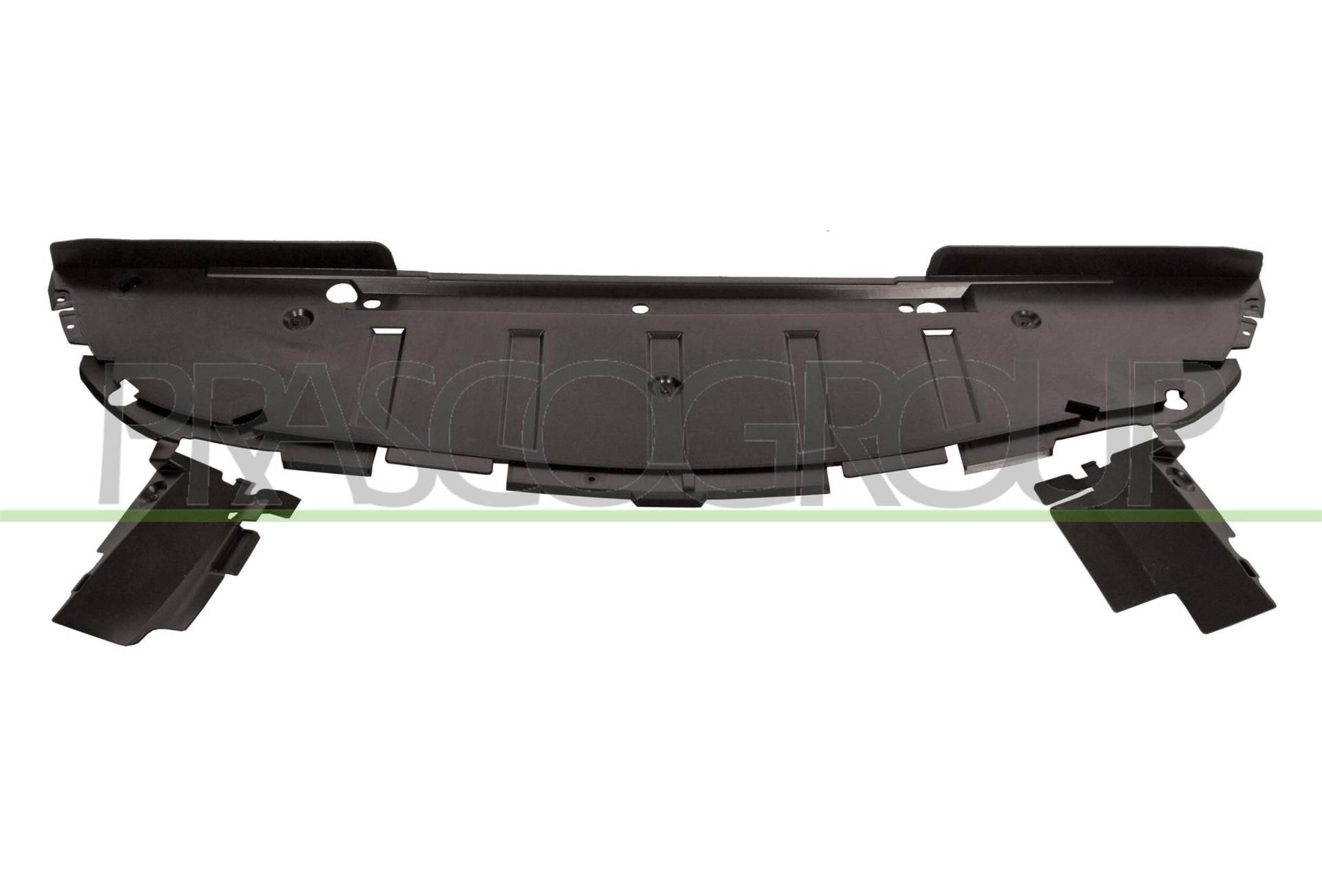 Prasco - RN0341810 - Renault - Scenic - Mod. 11/06-03/09 - Abdeckung Stosstange Vorne-Unten Prasco - RN0341810 - Renault - Scenic - Mod. 11/06-03/09 - Abdeckung Stosstange Vorne-Unten von Prasco