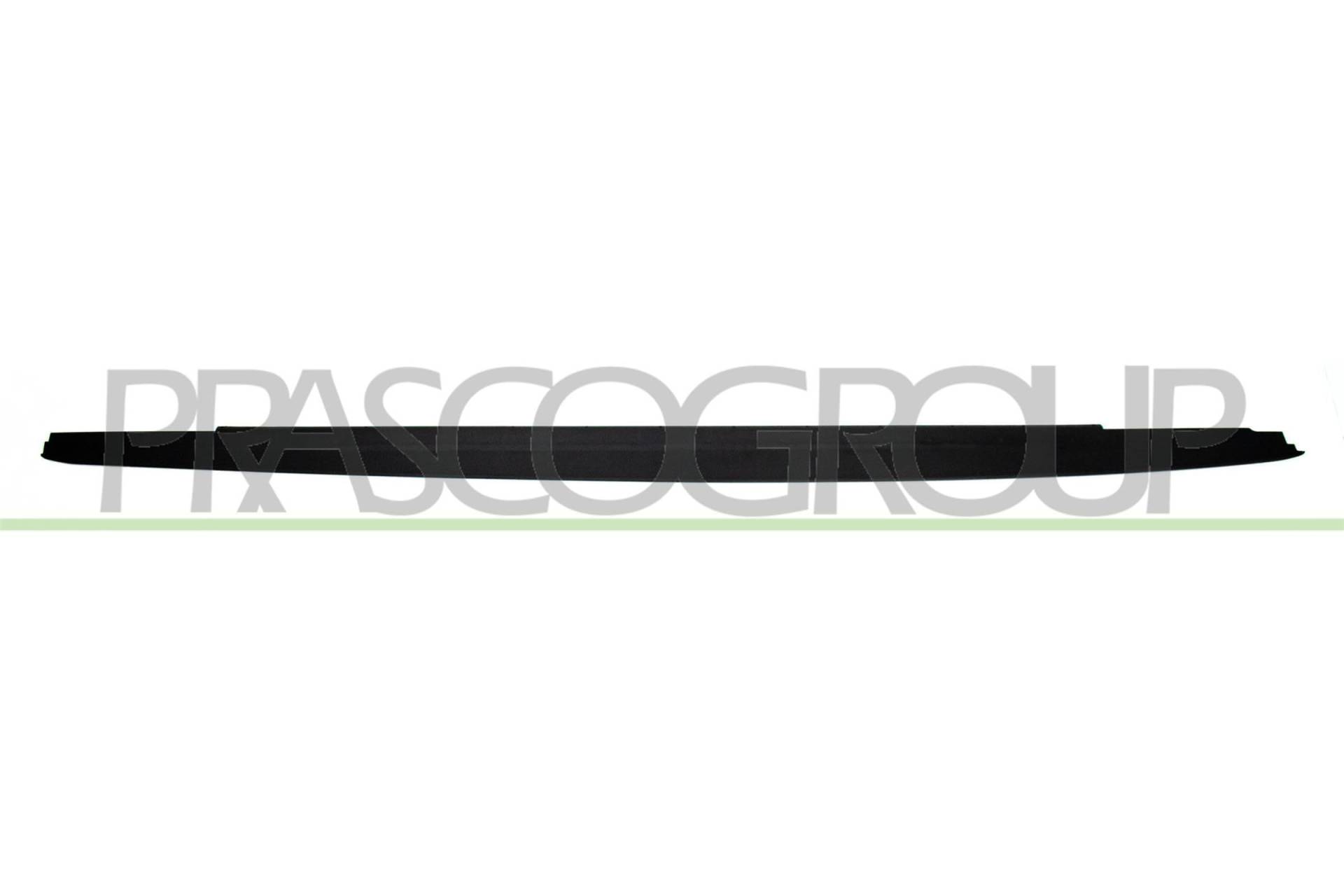 Prasco BM0531413 - Einstiegleiste Prasco BM0531413 - Einstiegleiste von Prasco