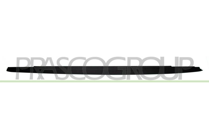 Prasco BM0531413 - Einstiegleiste von Prasco