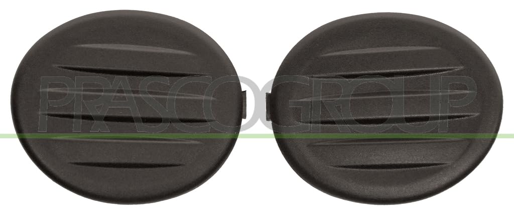 Prasco - CI7051249 - Citroen - C3 Picasso - Mod. 01/09-12/11 - Satz Nswabdeckungen-(Rechts Und Links) von Prasco