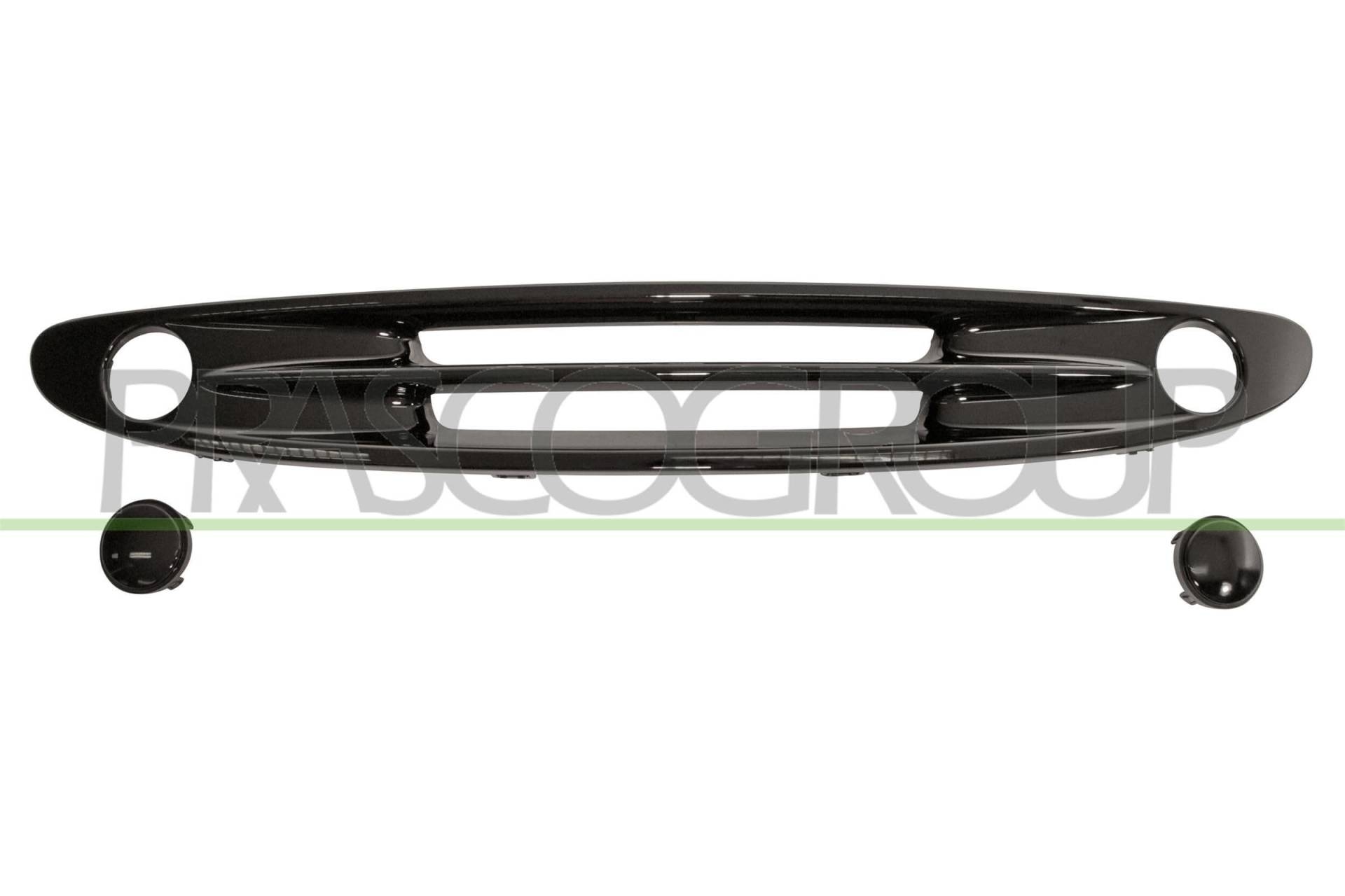 Prasco Kuehlergitter Smart, Fortwo Cabrio, Fortwo Coupe Prasco Kuehlergitter Smart, Fortwo Cabrio, Fortwo Coupe von Prasco