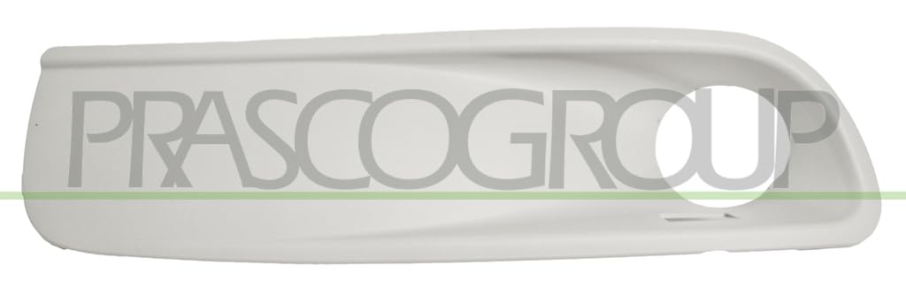 Prasco Stoástangengitter rechts grundiert Prasco Stoástangengitter rechts grundiert von Prasco