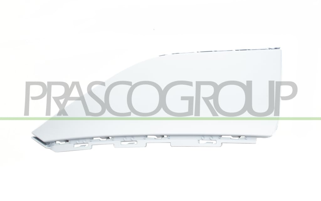 Schutzleiste links Stoßstange vorne Schutzleiste links Stoßstange vorne von Prasco