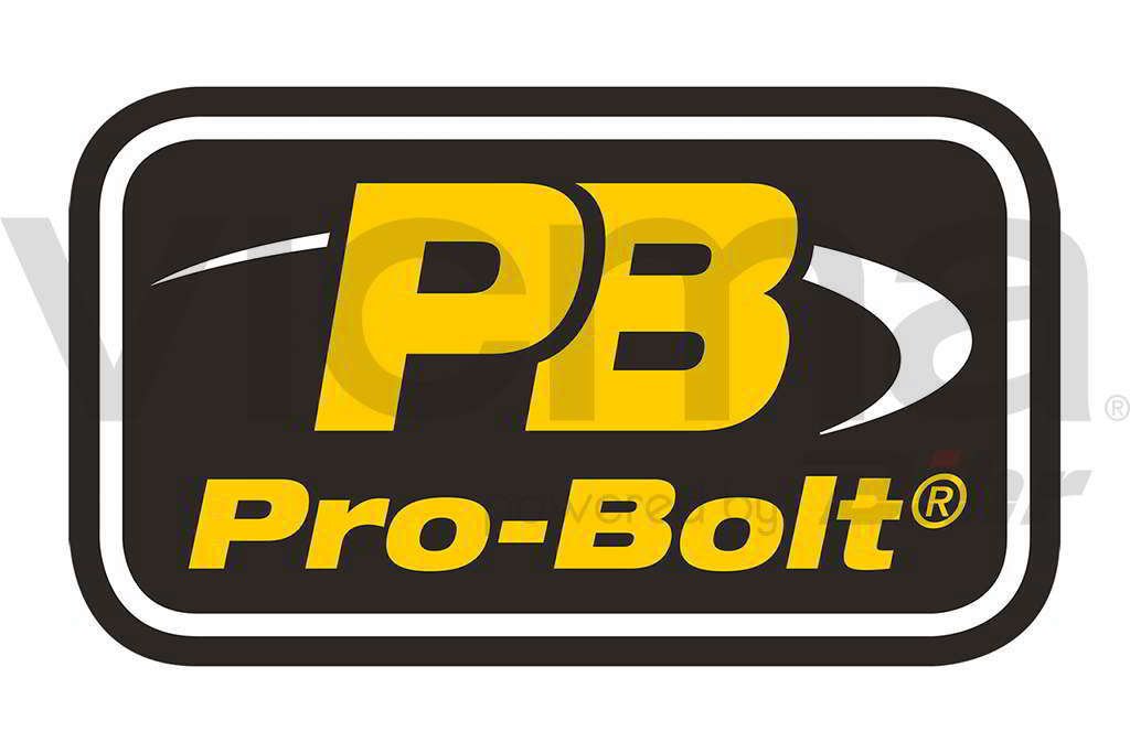 Pro-Bolt PBSTICKNEW01 Kleiner Aufkleber, 75mm Lang von Pro-Bolt