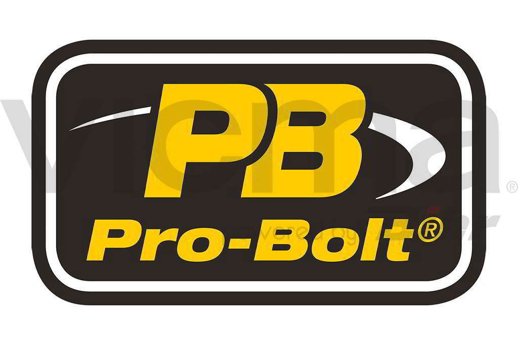 Pro-Bolt Pbsticknew01 kleiner Aufkleber, 75mm lang von Pro-Bolt