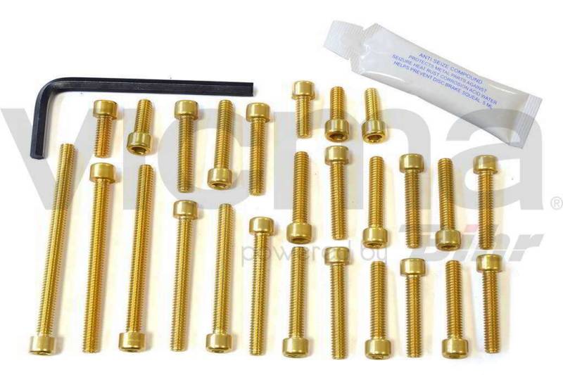 pro-bolt – 42121: Schrauben C/Allen Deckel Motor Aluminium Gold GSX 600 11 + esu091g von Pro-Bolt