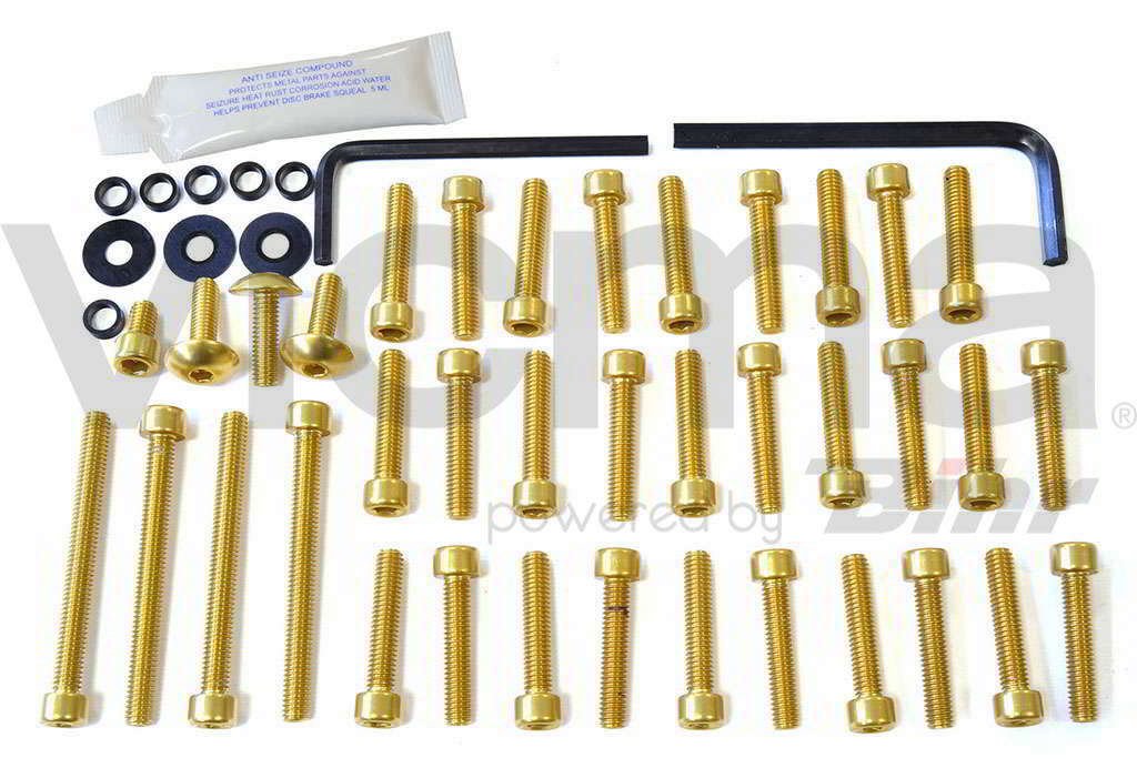 pro-bolt – 42130: Schrauben C/Allen Deckel Motor Aluminium Gold Bandit 650 09 – 10 esu103g pro-bolt – 42130: Schrauben C/Allen Deckel Motor Aluminium Gold Bandit 650 09 – 10 esu103g von Pro-Bolt