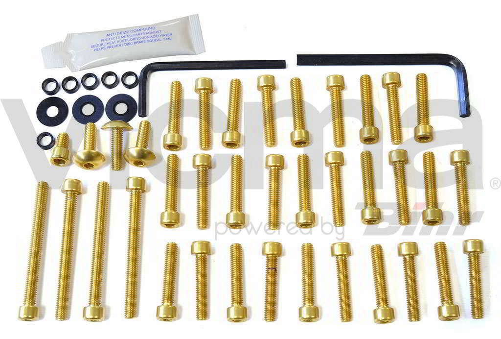 pro-bolt – 42130: Schrauben C/Allen Deckel Motor Aluminium Gold Bandit 650 09 – 10 esu103g von Pro-Bolt