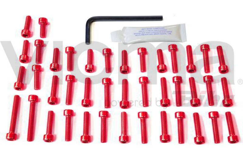 pro-bolt – 42163/54: Schrauben Inbusschrauben KAPPE Motor Aluminium Farbe: schwarz von Pro Bolt