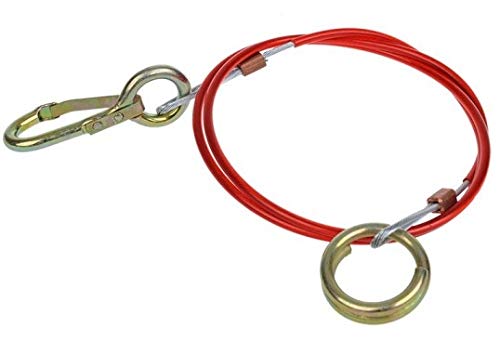 ProPlus 341304 Abreißseil Bremsseil Länge 1,5m für Anhängerkupplung AHK Anhänger Wohnwagen ProPlus 341304 Abreißseil Bremsseil Länge 1,5m für Anhängerkupplung AHK Anhänger Wohnwagen von ProPlus