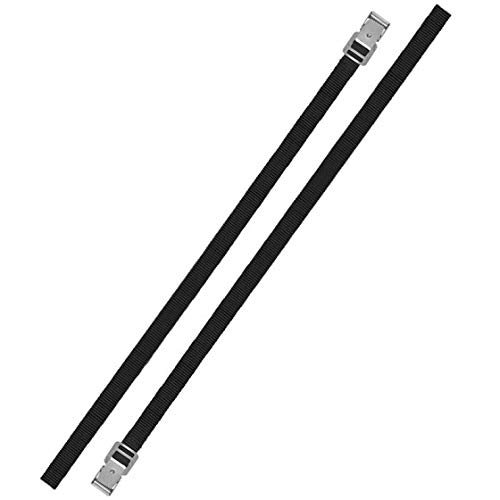 ProPlus Spannriemen Metallschnalle 18mm-200cm Set von 2 Stück von ProPlus