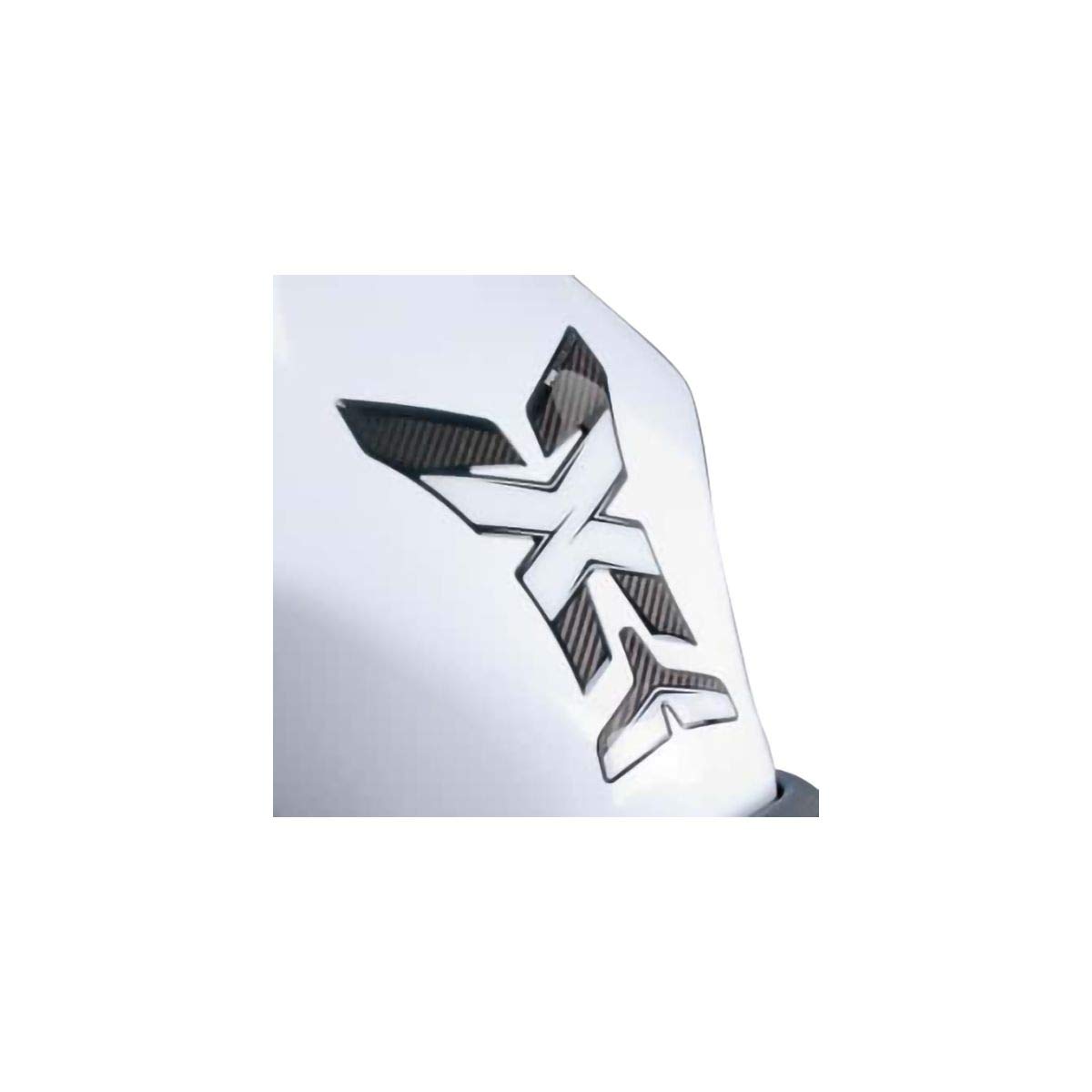 Puig: Staubbehälter Displayschutzfolie Modell X-Treme Farbe Carbon Carbon von Puig