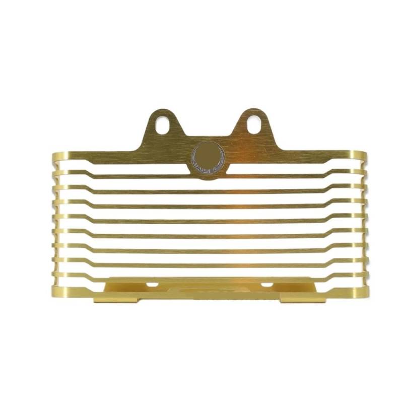 Motorrad Kühlergitter Motorrad Kühlergrill Schutz Abdeckung Kraftstoff Tank Schutz Für RNINET Für R Nine T Für Urban Für Für Scrambler von QBHFVCGS