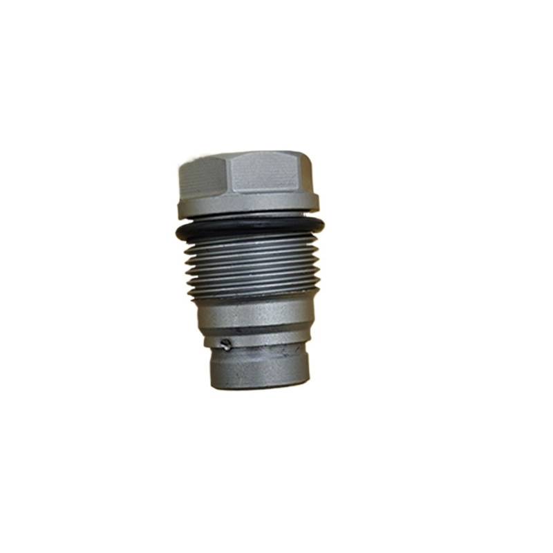 1/2 STÜCK/Passend for B-osch 1110010022 Box Kraftstoffverteilerrohr-Druckbegrenzungsventil 42562997 2854543 / Passend for Chryslerr/Passend for Cumminss-Motor(2PCS) von QDEIDEDT
