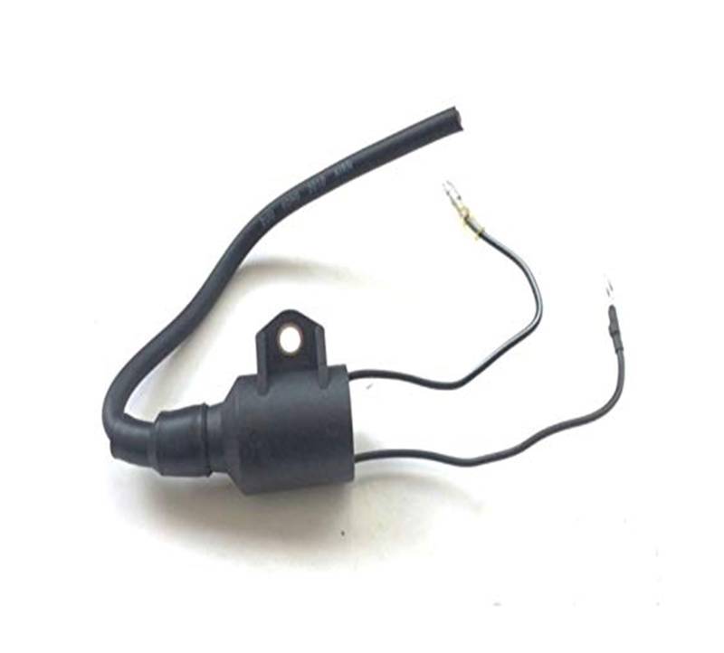 Für Parsun Für Makara Für Außenbordmotor T9.9 T15 HP Motor 2-Takt-Bootsmotor T15-04001200 Zündspulenbaugruppe Ersatzzubehör Zündungseinheit von QDouiMOO