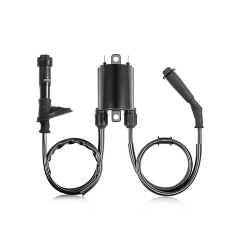 Für Shadow Für VLX 600 Für VT600 Für VT600C Forv VT600CD Für Deluxe 1988-2007 Modul Zündspule 2set Von Zündspule Zündkerze Kappe Zündungseinheit von QDouiMOO