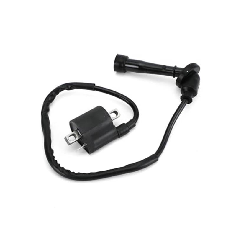 Für Suzuki Für LTZ400 Für LT Z 400 Für Quadsport 33410-09F00 Motorrad Teile Zündspule Zündgerät Spule Zündung Modul Zündungseinheit von QDouiMOO
