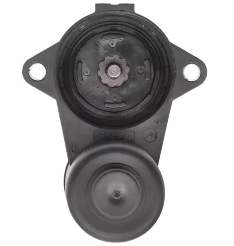 Feststellbremsaktuator Für VW Für Passat B6 CC Für Tiguan 3C0998281 3C0998281A 3C0998281B 6/12 Torx Hinten Sattel Handbremse Parkplatz Servo Motor Feststellbremsmodul(12T) von QILINGS