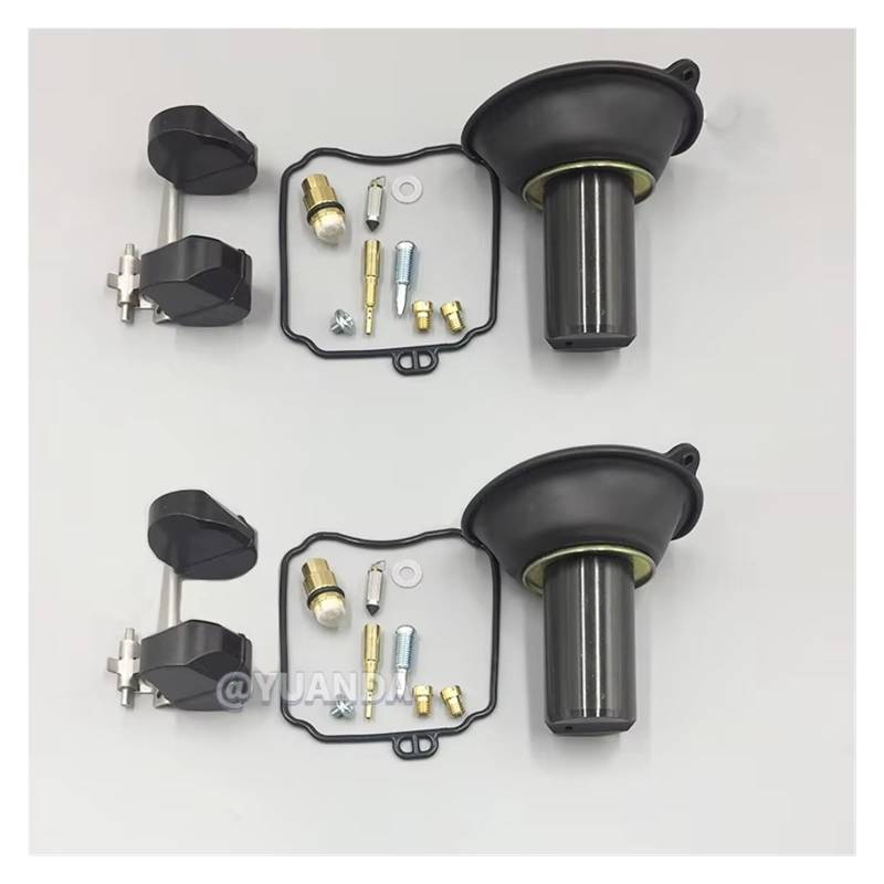 Moto Vergaser Für Hyosung GV250 2005 2006 2007 2008 2009 GT125 GT125R Carb Plunger Membran Teile Vergaser Reparatur Rebuild Kit Vergaser(2sets with Plunger) von QINSHU