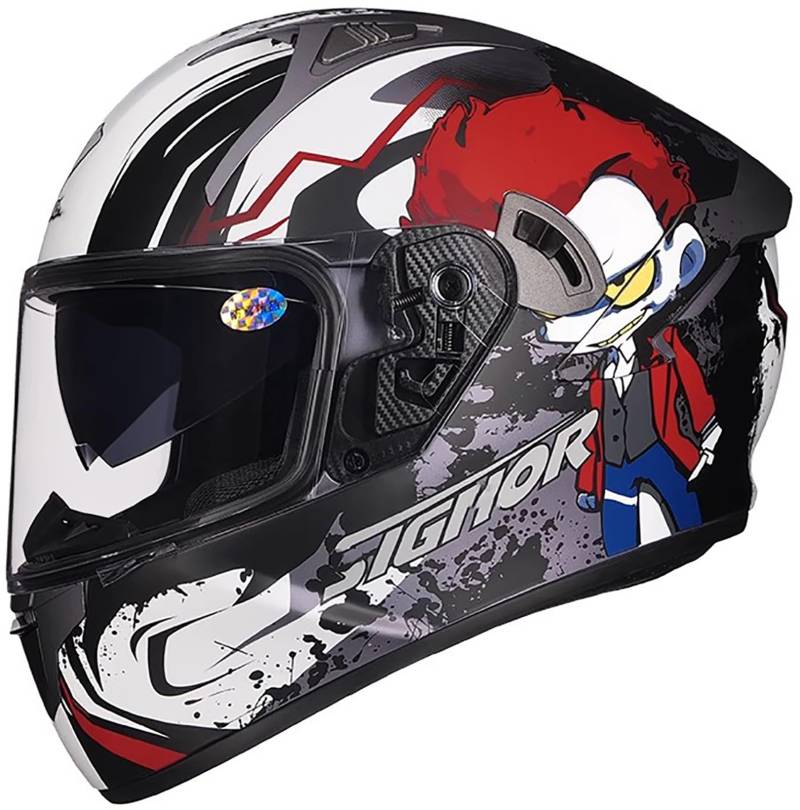 Motorrad-Integralhelme Mit Doppelvisier, Motorcross-Helme, ECE R22.06-Zugelassener Integralhelm Für Rennfahrer Und Motorradfahrer, Für Erwachsene, Männer Und Frauen C2,XXXL/{63~64cm} von QKDWQZ
