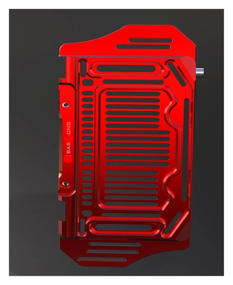 Motorrad Schutzgitter Kühler Schutzgitterabdeckung Für CRF250L ABS CRF250L Rally ABS 2013-2020 Motorrad Kühlergrill Abdeckung Schutz Schutz Protetor von QLKFTRVNH