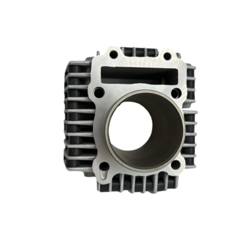 Kompatibler Kolben 62mm Kompatibel mit 150cc 160cc 190cc DT150 DT160 DT190 FSM Motor mit 4 Ventilen(CYLINDER BODY) von QMLQRGKF