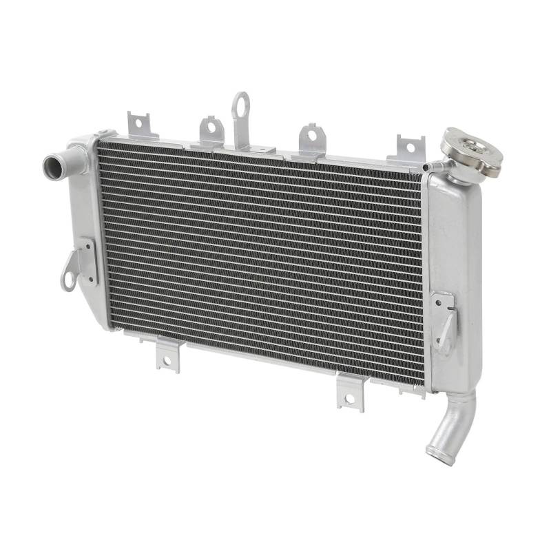 Motorrad Aluminium Kühler Kühler Kühlung for Ninja 400 2018-2023 Z400 2019-2022 von QRZCZXNP