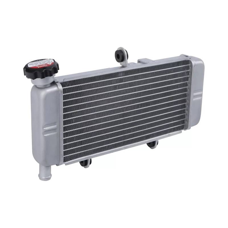 Motorrad Kühler Kühler Kühlung for CB300F 2015-2018 CBR250R 2011-2013 CBR300R 2015-2022 von QRZCZXNP