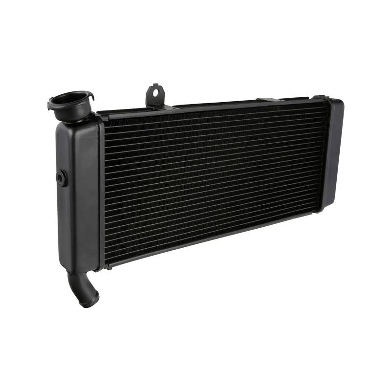 Motorrad Kühler Kühlung Kühler for 650 2015-2023 2016 2017 2018 2019 von QRZCZXNP