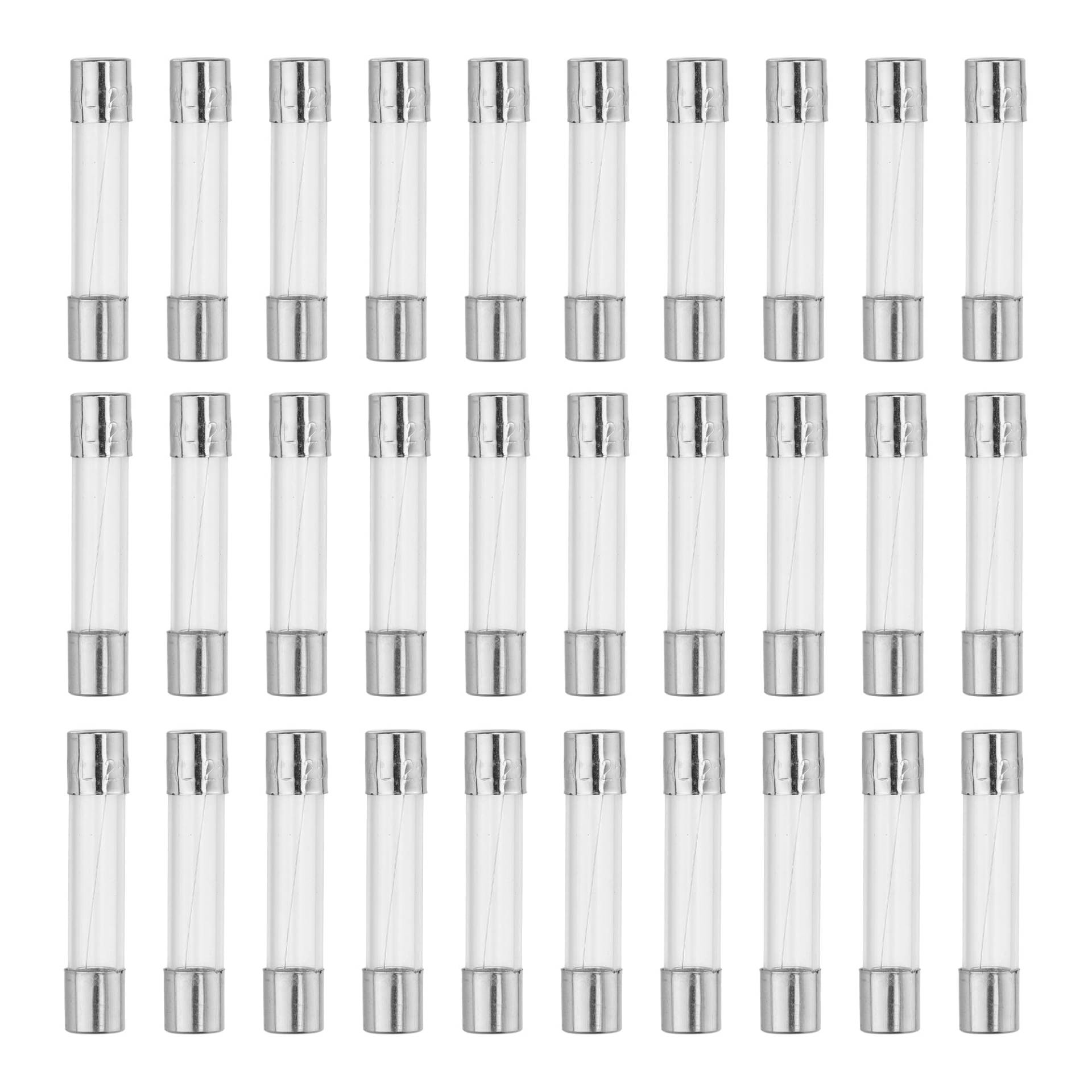 QUARKZMAN Sicherung 1A Glassicherung Sicherungen Glasrohrsicherung Feinsicherung 6x30mm (Packung mit 30 Stück) von QUARKZMAN