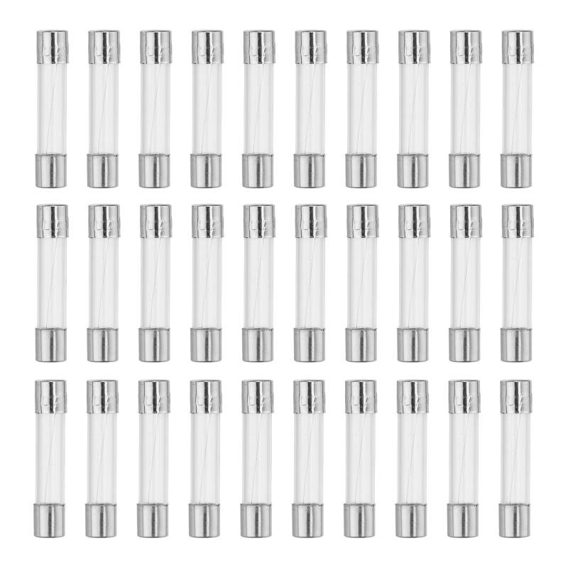 QUARKZMAN Feinsicherung 1A Glassicherung 6x30mm Sicherungen 30er Packung Schnellschlag Glassicherungen 250V von QUARKZMAN