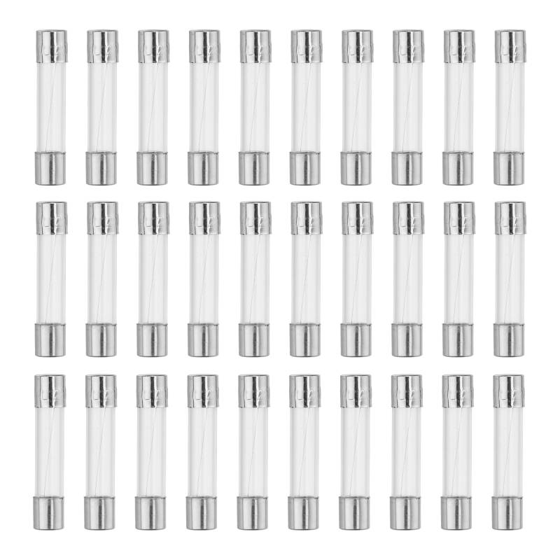 QUARKZMAN Sicherung 1A Glassicherung Sicherungen Glasrohrsicherung Feinsicherung 6x30mm (Packung mit 30 Stück) von QUARKZMAN