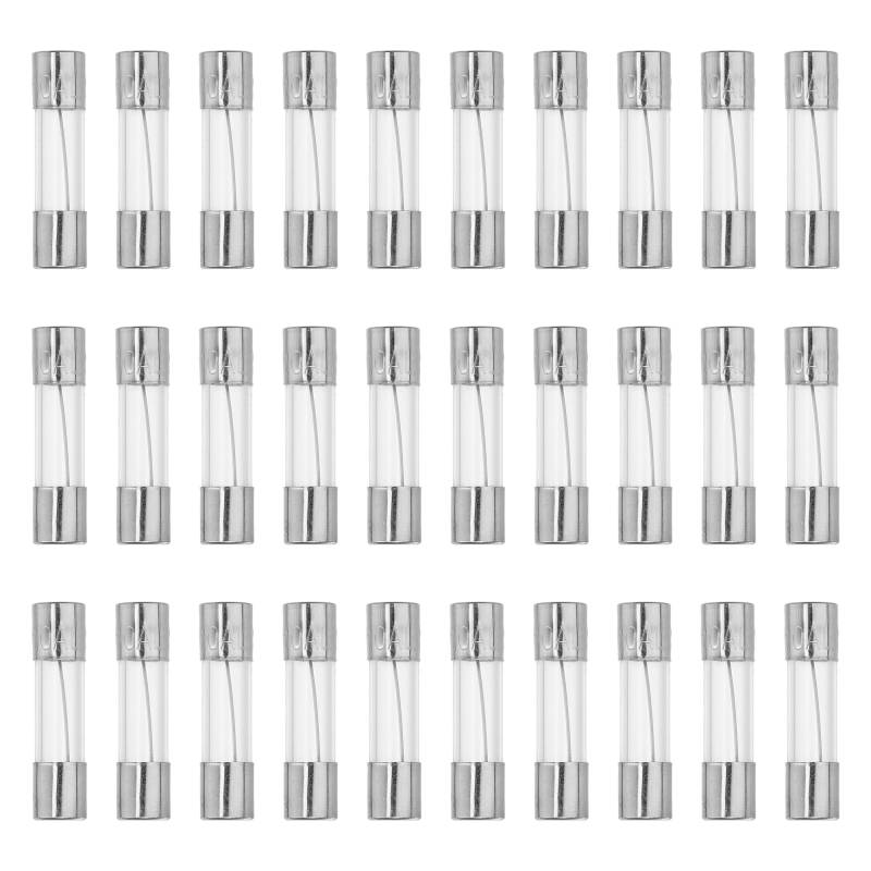 QUARKZMAN 30 Stück Feinsicherungen 10A Schnellschlag Glassicherungen Sortiment Set 5x20mm Sicherung 250V von QUARKZMAN