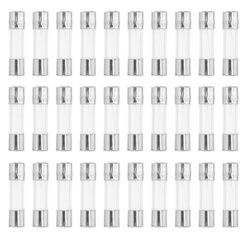 QUARKZMAN 30 Stück Glassicherung Feinsicherungen 2,5A Sicherungen 5x20mm Schnellschlag Glasrohrsicherung Sortiment Set von QUARKZMAN