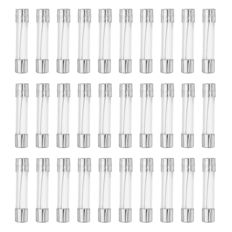 QUARKZMAN 30 Stücke Feinsicherung 30A Glassicherung 250V Sicherungen Schnellschlag Glasrohrsicherung 6x30mm von QUARKZMAN