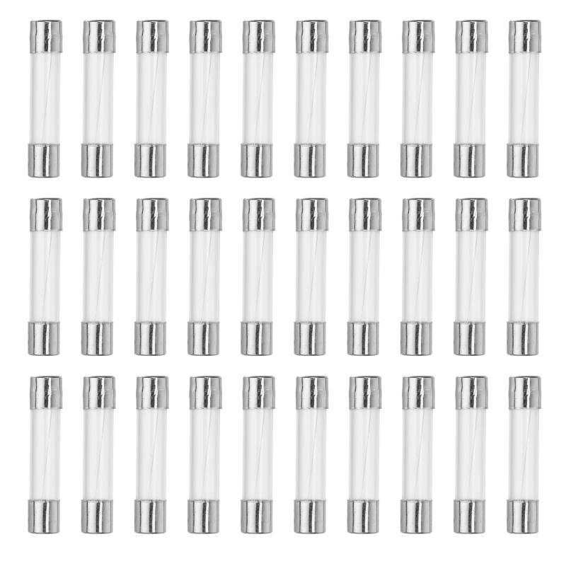 QUARKZMAN 30 Stücke Feinsicherung 6A Glassicherung 250V Sicherungen Schnellschlag Glasrohrsicherung 6x30mm von QUARKZMAN