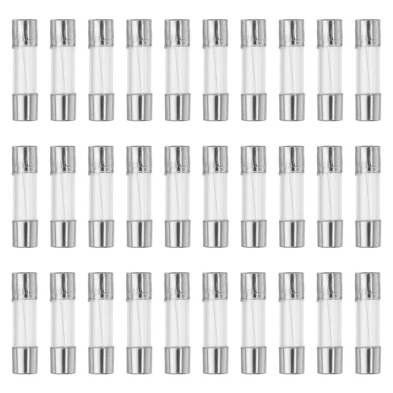 QUARKZMAN 30 Stück Glassicherung Feinsicherungen 6A Sicherungen 5x20mm Schnellschlag Glasrohrsicherung Sortiment Set von QUARKZMAN