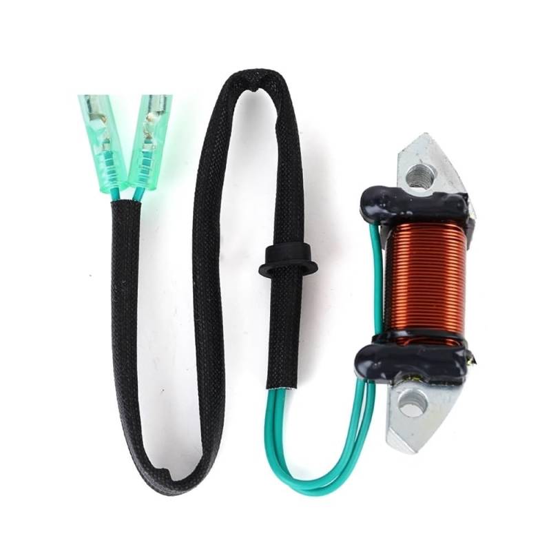 Motorrad Stator Spule Motorrad Generator Stator Spule Für P50 S/L PRO 50D EMTOS/L 6H5-85533-01 Motorrad Zündung Magneto stator Spule von QUZVYT